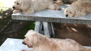 บรรยากาศรอบบ้าน ร่มรื่น ชื่นใจ