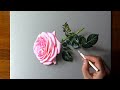 Drawing Pink Rose