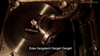 Video thumbnail of "aurevoir. - Gergel (Lyrics Video)"