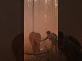 Baby Elephant getting rescued!!