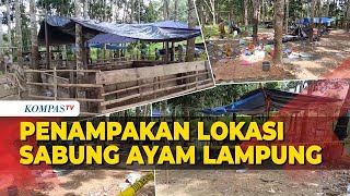 Beginilah Penampakan Lokasi Sabung Ayam Lampung yang Sebabkan Anggota TNI Tembak Polisi di Lampung