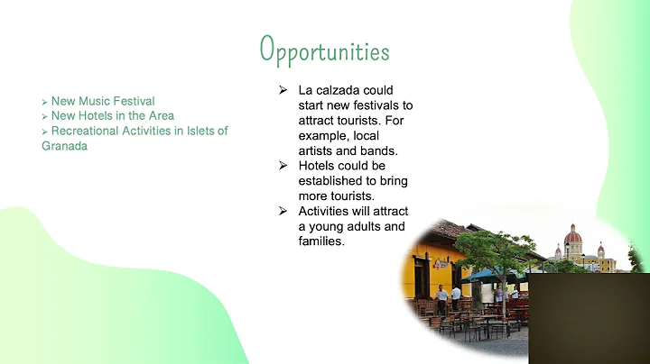 Frank Goff  SWOT Analysis Final Project