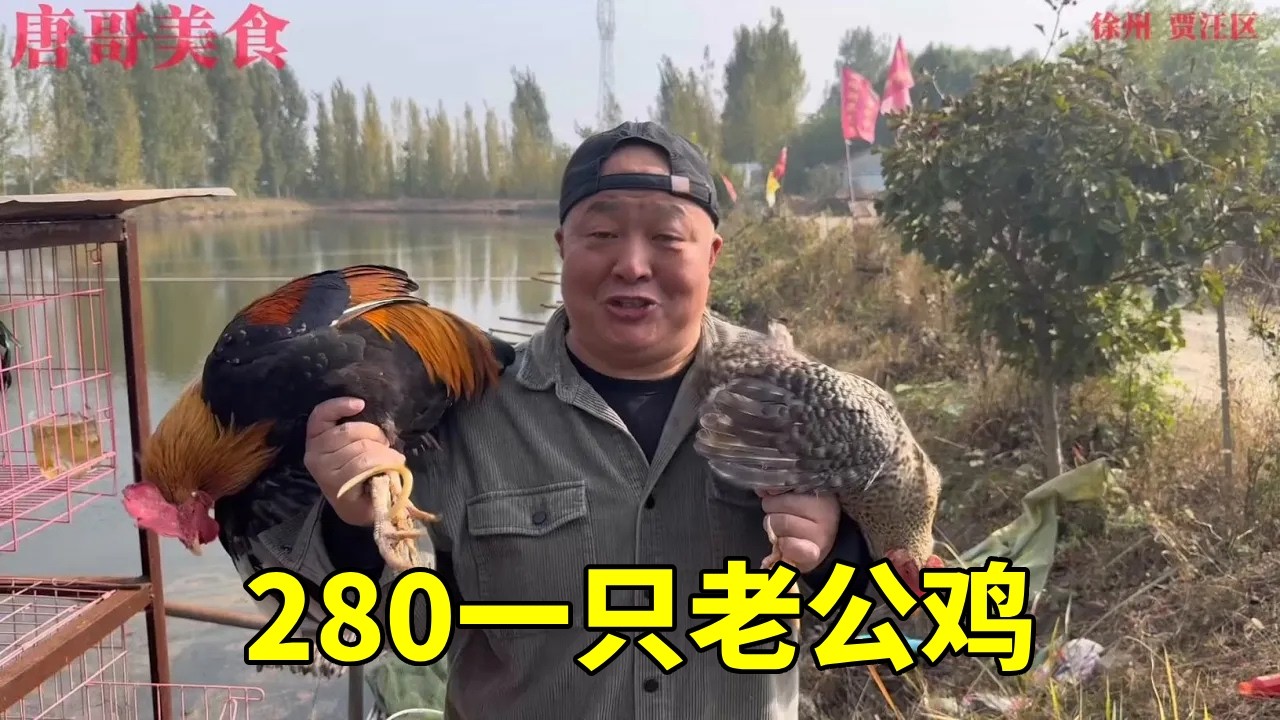 徐州贾汪，13年老公鸡贵贱不卖，结果吃个280元一只老公鸡！#人间烟火 #各省馋鬼出动了 #省饭课代表 #徐州美食 #土鸡