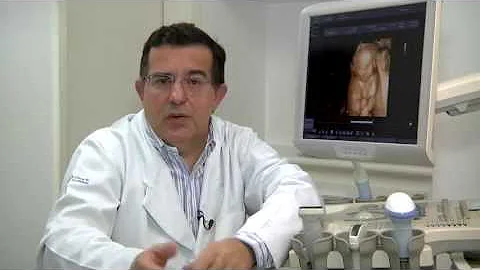 Como é feita a barriga de aluguel?