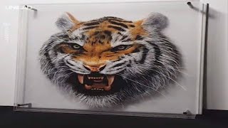 Creating 3D Art With Glass Panels || UNILAD by UNILAD 1,261 views 4 years ago 1 minute, 21 seconds