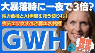 【急騰】今投資家が注目してるESSテックの「鉄フロー電池」とは? #米国株 #GWH #株式投資