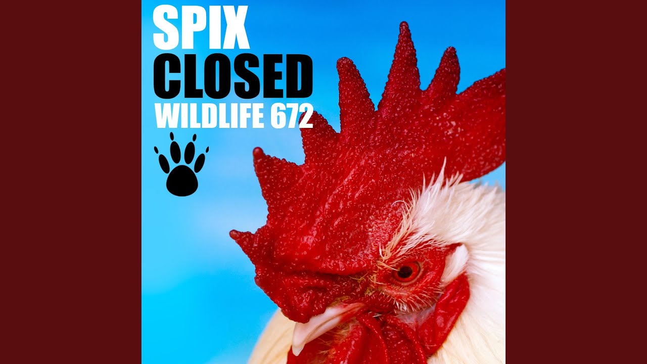 Watch Closed on YouTube Watch Closed on YouTube