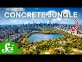 7 New Species Discovered in Cities