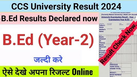 CCSU B.Ed Result 2024 | CCSU Bed 2nd year result 2024 | ccsu b.ed ka result kaise dekhe 2024