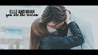 Elle and Noah | 'i'm crazy about you'