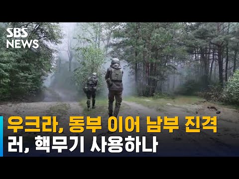 우크라이나, 동부 이어 남부도 진격…러시아, 핵무기 사용하나 / SBS