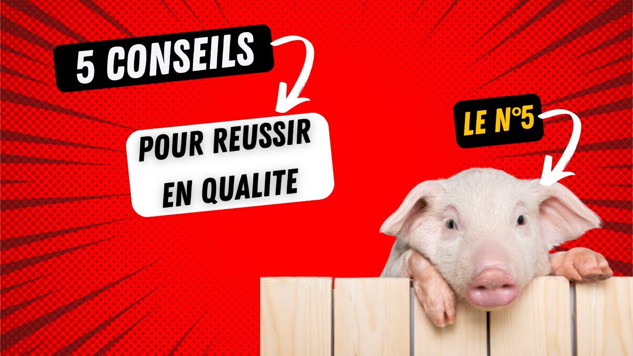 TOP 5 des conseils pour réussir en qualité dans l'industrie pharmaceutique