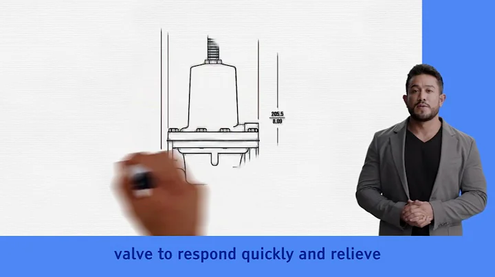 P289 Back Pressure Regulator