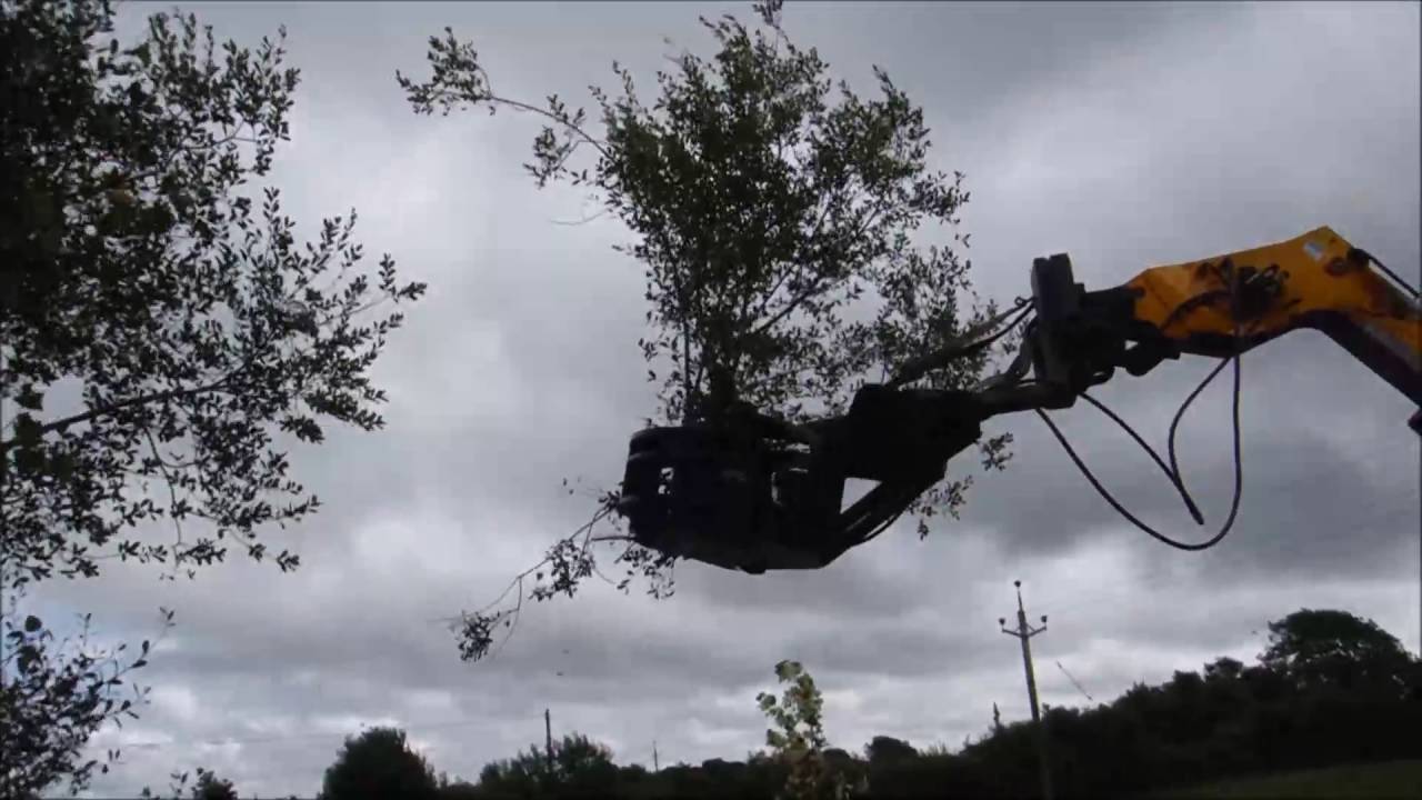 Tree Shear from Machine Serve for 13T excavator on telehandler - YouTube