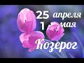 КОЗЕРОГ 25 апреля-1 мая/CAPRICORN TAROT/摩羯座塔羅牌/Oğlak tarot/Tarô de Capricórnio/Tarot Kozoroha.