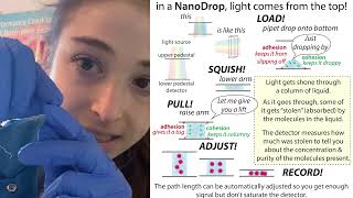 How a NanoDrop works