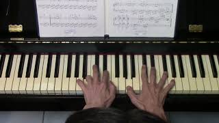 Javad Maroufi , Golden Dreams - Piano Lesson , Piano Nariman Kholgh Mozaffar