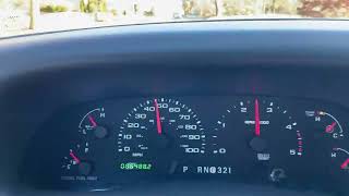 IMG 7100