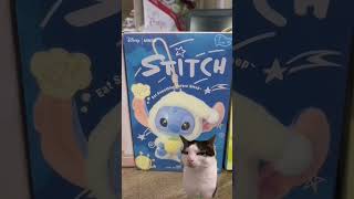 Komik Kedi Videoları V27 - Sıra Stitchde #stitch #catmemes #memes #keşfet #komikkedivideoları