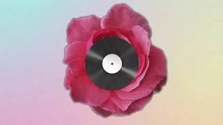 Jack White - Love Interruption (Toxiyls Remix) | Lyric Video