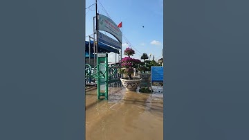 CẦN THƠ HÔM NAY ngày 11/9/2025