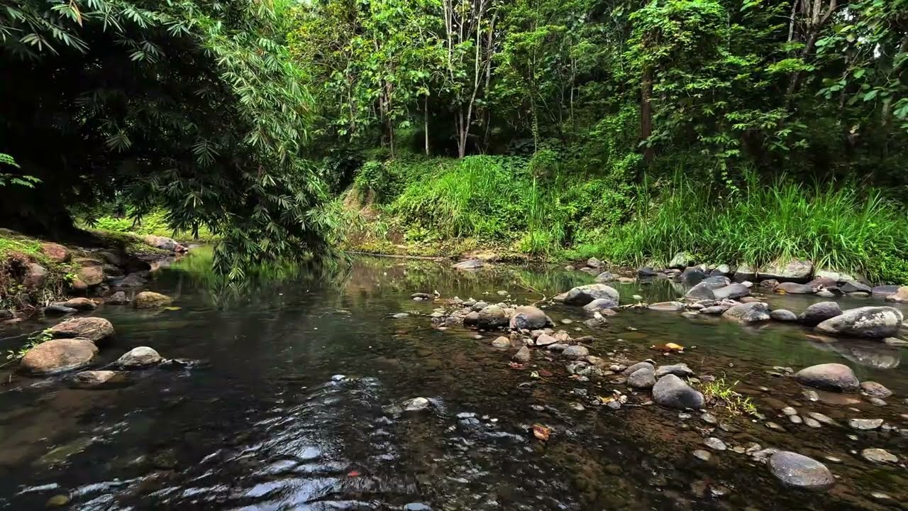 Gentle Water Sounds for Stress Relief and Rest