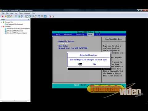 Video: Cum Se Dezactivează Parola în Windows XP