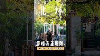 北京|鼓楼|什刹海临街320平米四合院 #beijing #北京 #四合院 #北京 #北京四合院 #courtyard #courtyardhouse #house #househunting