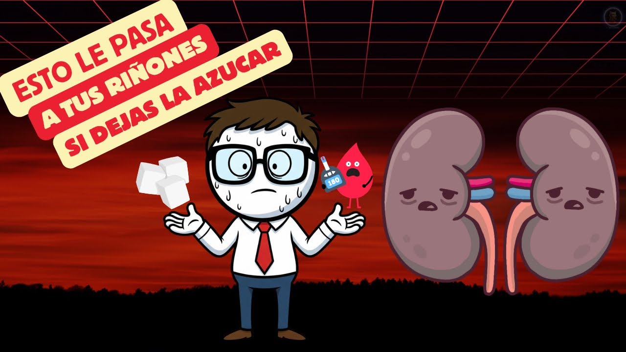 ¿Qué pasa con tus riñones si dejas el azúcar? ( curioso 🤨)