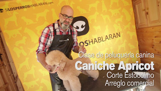 Trailer Peluquería Canina: Corte Estocolmo de Caniche por Enrique de la Morena