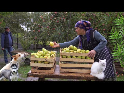 Harvesting Pears and Preserving for the Winter, Village Cooking Vlog