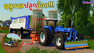 เปิดฤดูกาลปลูกอ้อย!!! เจ้าฟอร์ดยักษ์ 7810 ลงงานปลูกอ้อย Ep.290 Farming Simulator 19 screenshot 4