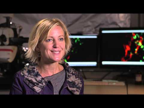 Bioengineer Melody Swartz: 2012 MacArthur Fellow