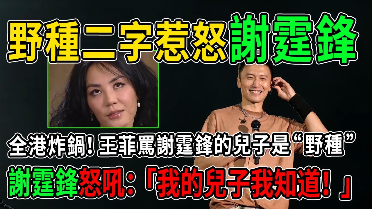 全港炸鍋！王菲“野種”二字惹怒謝霆鋒，世紀護子大戲上演！謝霆鋒怒吼：「我的兒子我知道！」張柏芝當場淚崩！ 