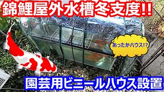 錦鯉屋外水槽冬支度! 園芸用ビニールハウス設置