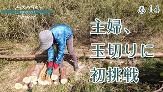 Download Lagu あの倒木を薪に！　草刈りや家庭菜園も　週末田舎暮らし充実させます【移住に向けて開拓中】