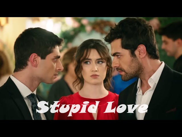 Zeynep & Halil - Stupid Love  (Rüzgarlı Tepe + eng sub)