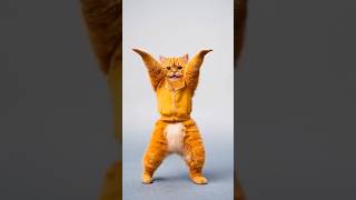 Grooving with Mr.Orange!