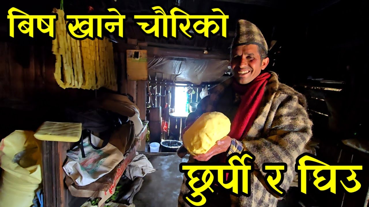 बीस खाने चौंरिको घिउ र छुर्पि बेचेर महिनकै दुई लाख कमाउने नेपाल दाइ yak farming 