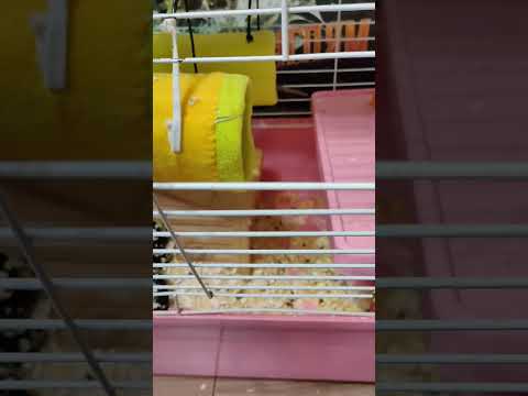 Нарушение координации у