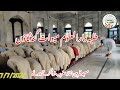 نماز مغرب مسجد قمر مدرسہ دارالعلوم میوات گنڈگاؤں ######@@@Madarsa darululoom mewat gond gaon@