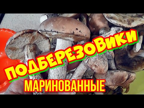 Маринованные грибы Подберезовики на зиму+Зонтики в кляре