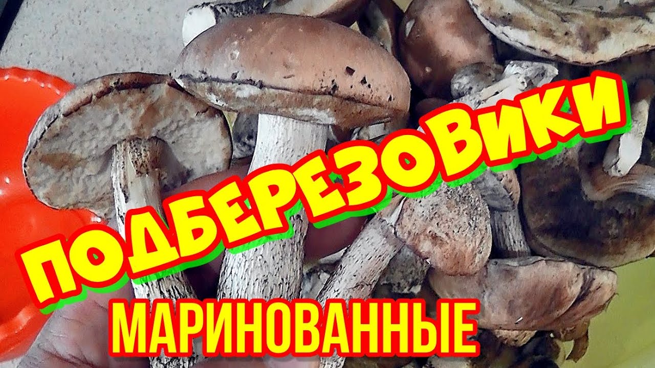 ГРИБЫ ПОДБЕРЕЗОВИКИ Маринованные грибы + Грибы Зонтики