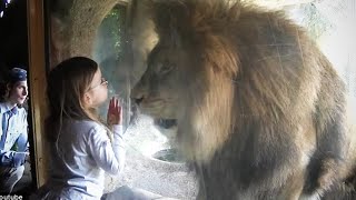 [Amazing] Watch How These Animals Attack in World's Zoos