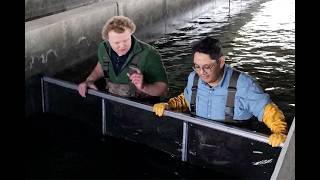 I worked at Springfield Fish Hatchery for a day, and here’s what I learned