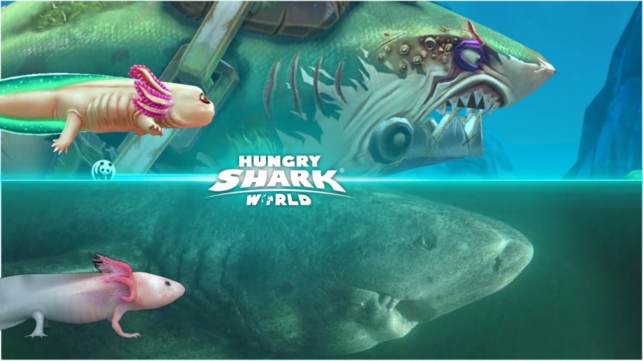 NEW VIP SHARK PASS!!! (HUNGRY SHARK WORLD) 