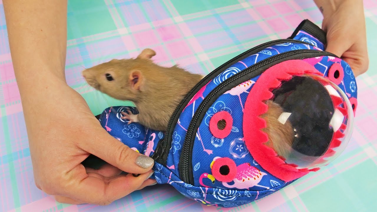 rat small animal travel bag