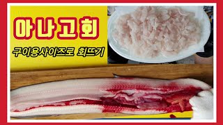 [활어티비] 아나고회 붕장어회 아나고회뜨기 붕장어손질법
