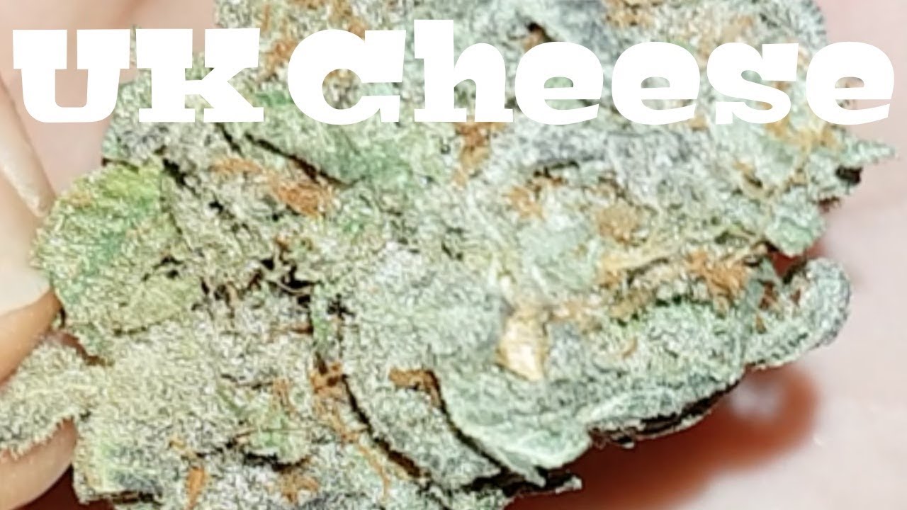 Strain Review - UK Cheese