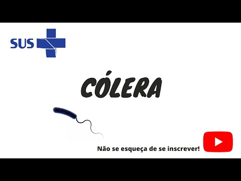 Cólera - tudo o que você precisa saber!